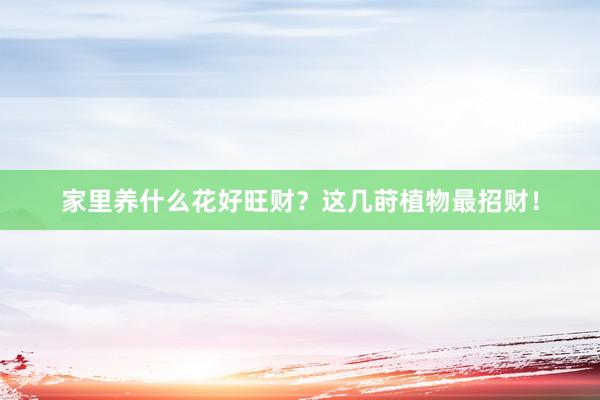 家里养什么花好旺财？这几莳植物最招财！